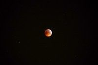 /album/fotogalerie-lunar-eclipse-21-01-2019/dsc02295-jpg/