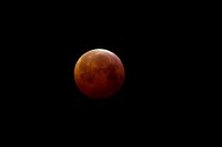 /album/fotogalerie-lunar-eclipse-21-01-2019/img-0137-jpg1/