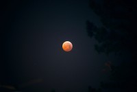 /album/fotogalerie-lunar-eclipse-21-01-2019/dsc02349k-jpg/