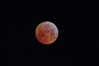 /album/fotogalerie-lunar-eclipse-21-01-2019/img-0110k4k1-jpg/