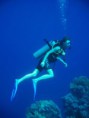 /album/under-water-photography/img-1885-jpg/