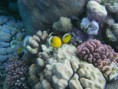 /album/under-water-photography/img-2143-jpg/