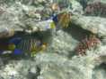 /album/under-water-photography/img-2269-jpg/