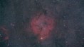IC 1396